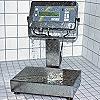 B�sculas resistentes al agua para ser utilizadas en el exterior o en el sector de la carnicer�a.