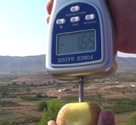 Realizando una comprobaci�n de la maduraci�n de una fruta con el penetr�metro PCE-PTR 200.