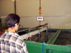 Uso de la b�scula de gancho en un ba�o de sumersi�n.