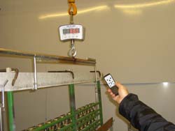 Control remoto de la b�scula de gancho.