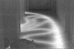 La misma imagen pero como escala de grises con la cámara de imagen térmica.