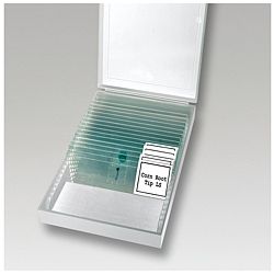 Diferentes preparados del microscopio para la enseñanza PCE-BM 200