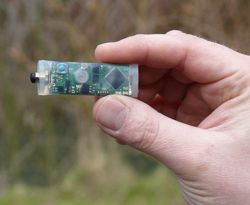 La imagen muestra el tamaño real del mini registrador de datos PCE-MSR145W.