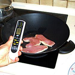 Uso del termmetro para alimentos para alimentos midiendo la temperatura del asado.
