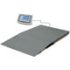 Balanzas de suelo serie BFB con rango hasta 3000 kg, resolución desde 200 g, plataform. máx. 1500x1250 mm, rampa opcional
