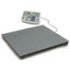 Balanzas de suelo serie BFS con rango hasta 3000 kg, resolución desde 200 g, plataform. máx. 1500x1250 mm, RS-232