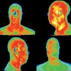 Comprobacin de la temperatura del cuerpo humano.