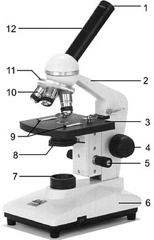 Partes de los microscopios