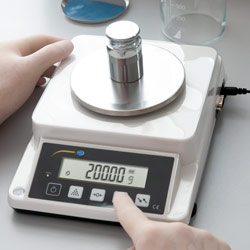 Peso de calibración de la balanza de gramaje serie PCE-DMS