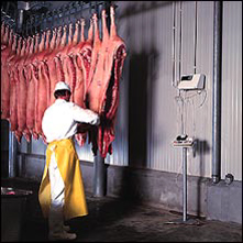 Conductímetro midiendo en carne.