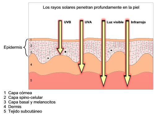 Representación de la radiación ultravioleta en la piel.