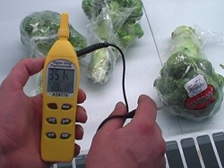 Medidor de escarcha PCE-310 midiendo la temperatura de un producto.