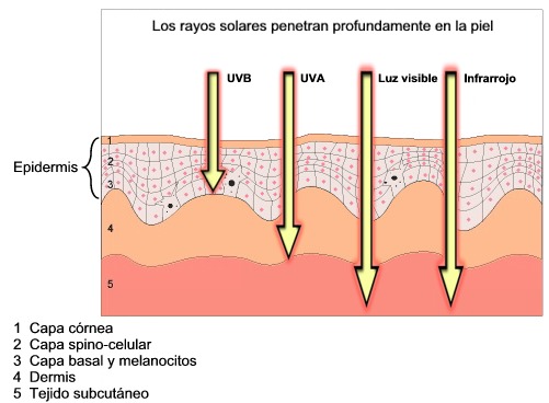 Medición de la influencia de la radiación sobre la piel con el medidor de radiación UV.