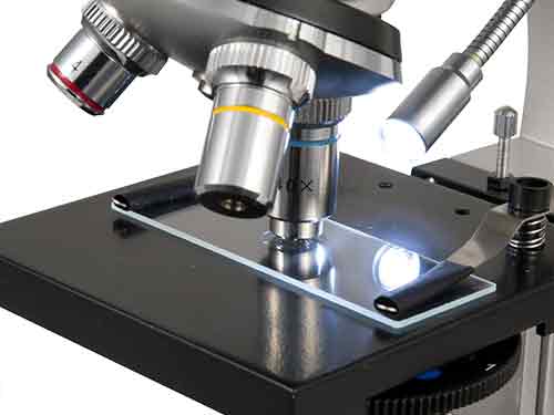 Aqu puede ver el revolver de objetivos en un microscopio estreo.