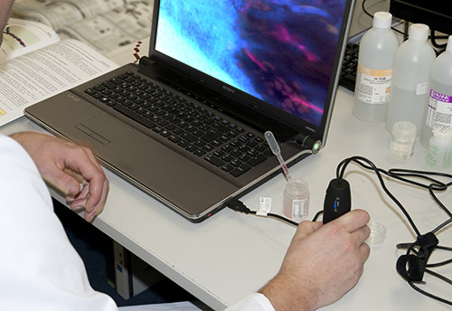 Microscopio USB con luz ultravioleta PCE-MM 200 UV en el laboratorio