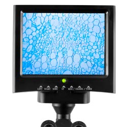 Pantalla LCD del microscopio para la enseanza PCE-PBM 100