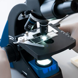 Platina en cruz del microscopio para la enseñanza PCE-PBM 100