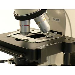 Aquí se observa la mesa graduable en cruz que se incluye en el envío del microscopio de laboratorio.