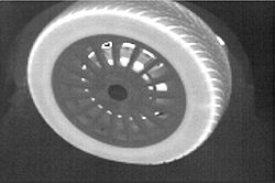 La misma imagen tambin como escala de grises con sistema de termografa.