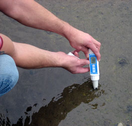 Con el phímetro resiste al agua PCE-PH 22 puede medir rápidamente el valor de pH.